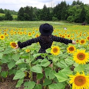 Meet your Posher, Carisa